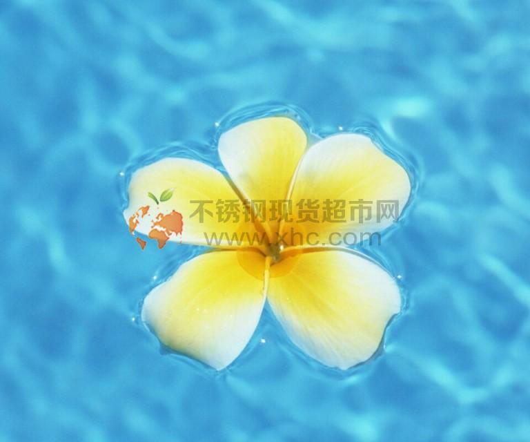 溫州市龍灣華豐鋼管廠